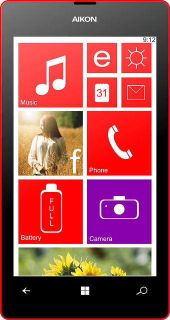 Vidmate apk for Windows