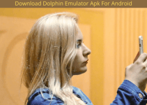 Dolphin Emulator Apk